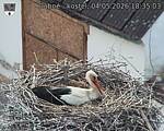 Capi_Dubne_20260504_183503.jpg
