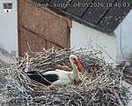 Capi_Dubne_20260504_184003.jpg
