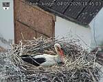 Capi_Dubne_20260504_184503.jpg