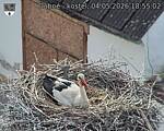 Capi_Dubne_20260504_185502.jpg