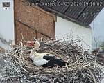 Capi_Dubne_20260504_191002.jpg
