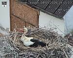 Capi_Dubne_20260504_191503.jpg