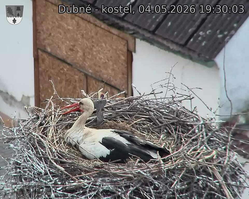 preload