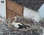 Capi_Dubne_20260504_193003.jpg