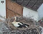 Capi_Dubne_20260504_195003.jpg