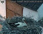Capi_Dubne_20260504_204003.jpg