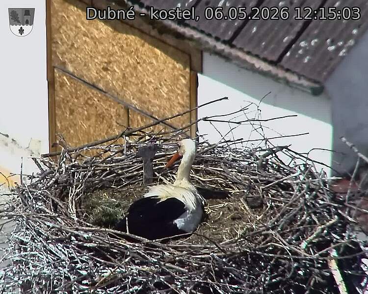 preload