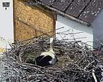 Capi_Dubne_20260506_122003.jpg