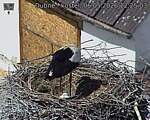 Capi_Dubne_20260506_122503.jpg
