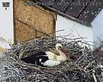 Capi_Dubne_20260506_132003.jpg