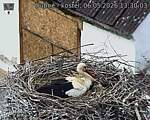 Capi_Dubne_20260506_133003.jpg