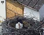 Capi_Dubne_20260506_135503.jpg