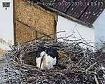 Capi_Dubne_20260506_140003.jpg