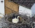 Capi_Dubne_20260506_140503.jpg