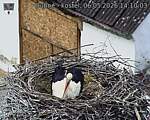 Capi_Dubne_20260506_141003.jpg