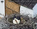 Capi_Dubne_20260506_141503.jpg