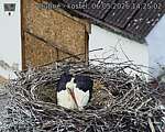 Capi_Dubne_20260506_142502.jpg
