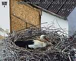 Capi_Dubne_20260506_144504.jpg