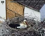 Capi_Dubne_20260506_145004.jpg
