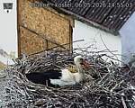 Capi_Dubne_20260506_145503.jpg