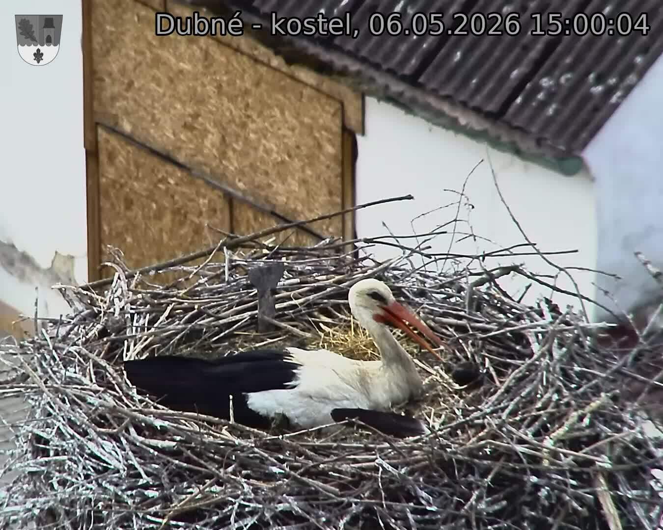 Capi_Dubne_20260506_150004.jpg (1350&nbsp;x&nbsp;1080)