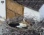 Capi_Dubne_20260506_150004.jpg