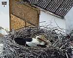 Capi_Dubne_20260506_152002.jpg