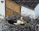 Capi_Dubne_20260506_152505.jpg