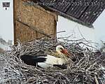 Capi_Dubne_20260506_153503.jpg