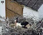 Capi_Dubne_20260506_161003.jpg