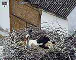 Capi_Dubne_20260506_161502.jpg