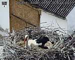 Capi_Dubne_20260506_162003.jpg