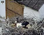 Capi_Dubne_20260506_163003.jpg
