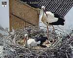 Capi_Dubne_20260506_163503.jpg