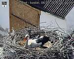 Capi_Dubne_20260506_164503.jpg