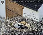 Capi_Dubne_20260506_172502.jpg