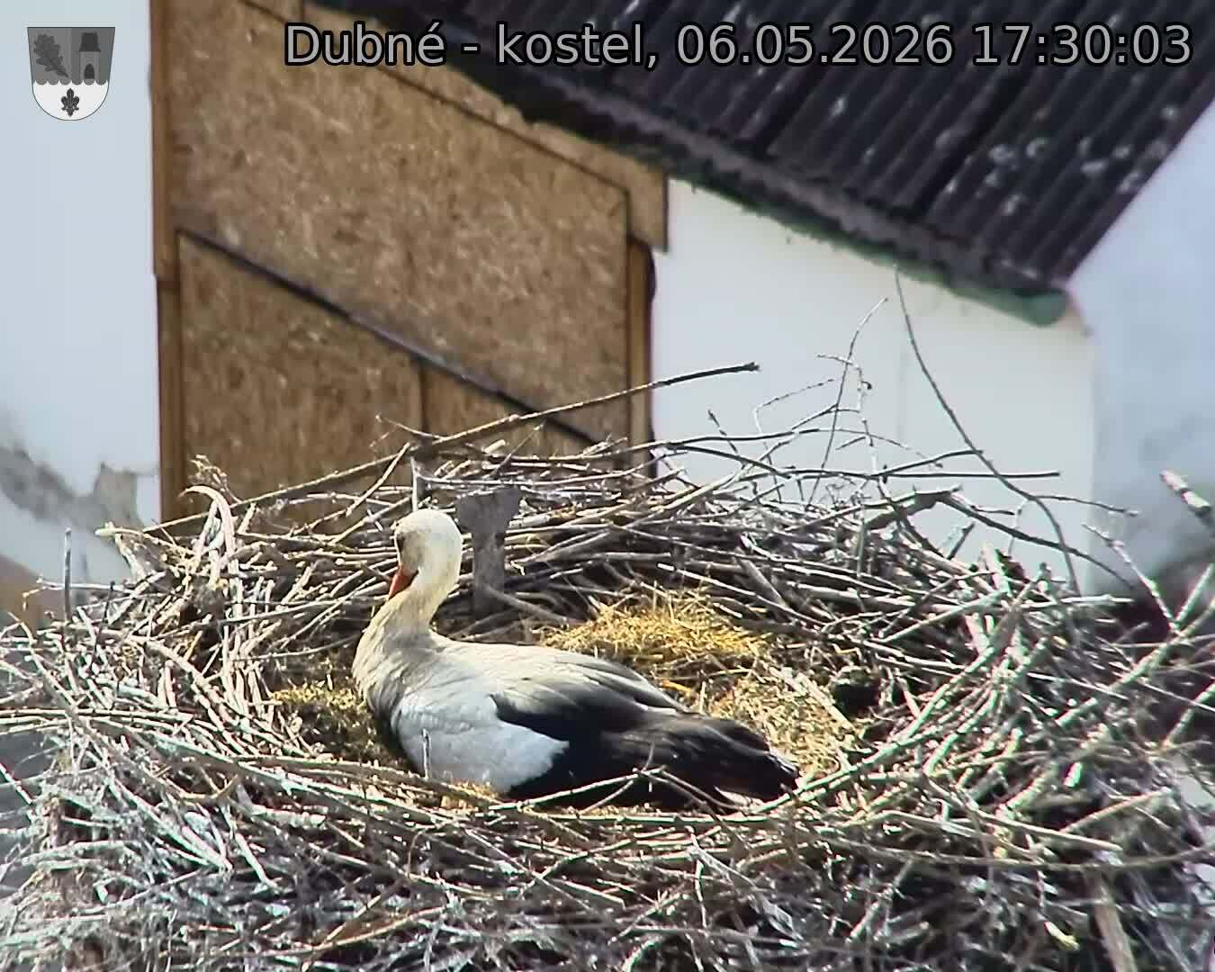 Capi_Dubne_20260506_173003.jpg (1350&nbsp;x&nbsp;1080)