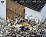Capi_Dubne_20260506_173003.jpg