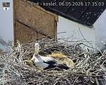 Capi_Dubne_20260506_173503.jpg