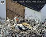 Capi_Dubne_20260506_174003.jpg