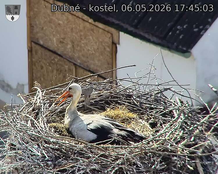preload