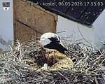 Capi_Dubne_20260506_175503.jpg