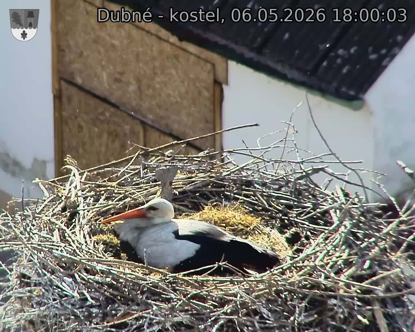 Capi_Dubne_20260506_180003.jpg (1350&nbsp;x&nbsp;1080)