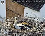 Capi_Dubne_20260506_181503.jpg