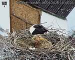 Capi_Dubne_20260506_184503.jpg