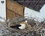 Capi_Dubne_20260506_185004.jpg