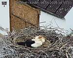 Capi_Dubne_20260506_185503.jpg