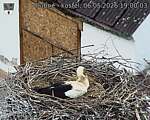 Capi_Dubne_20260506_190003.jpg
