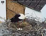 Capi_Dubne_20260506_191003.jpg