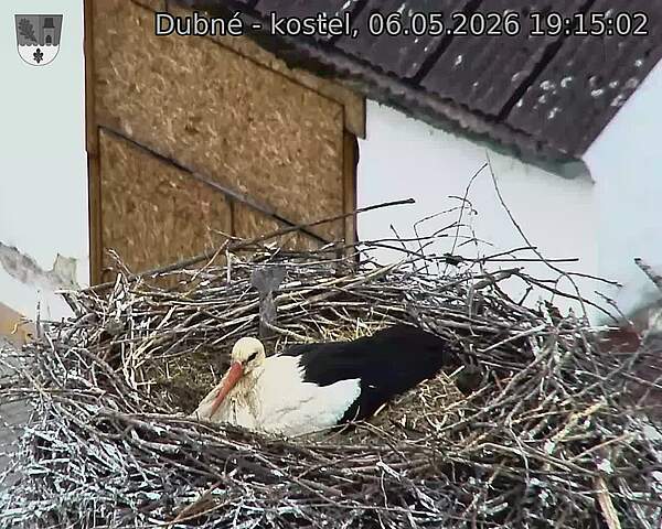 Capi_Dubne_20260506_191503.jpg (1350&nbsp;x&nbsp;1080)